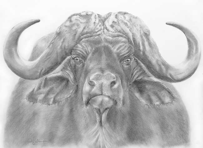 Aatty Storms Art - commission portraits, pencil drawings, watercolor and oil paintings