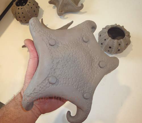 Starfish Clay