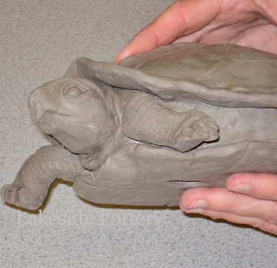 clay turtle made with pinchpot technique