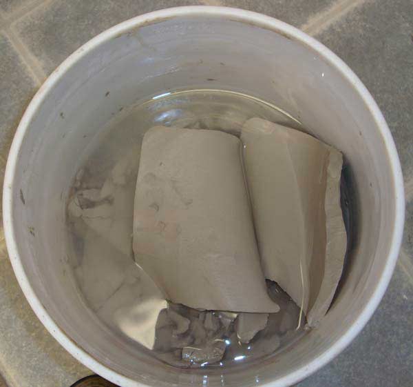 Place slices in a 5 gallon bucket with water