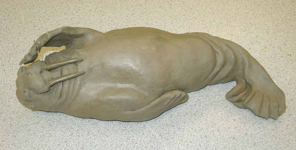 clay walrus