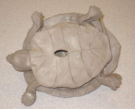 clay turtle bottom view